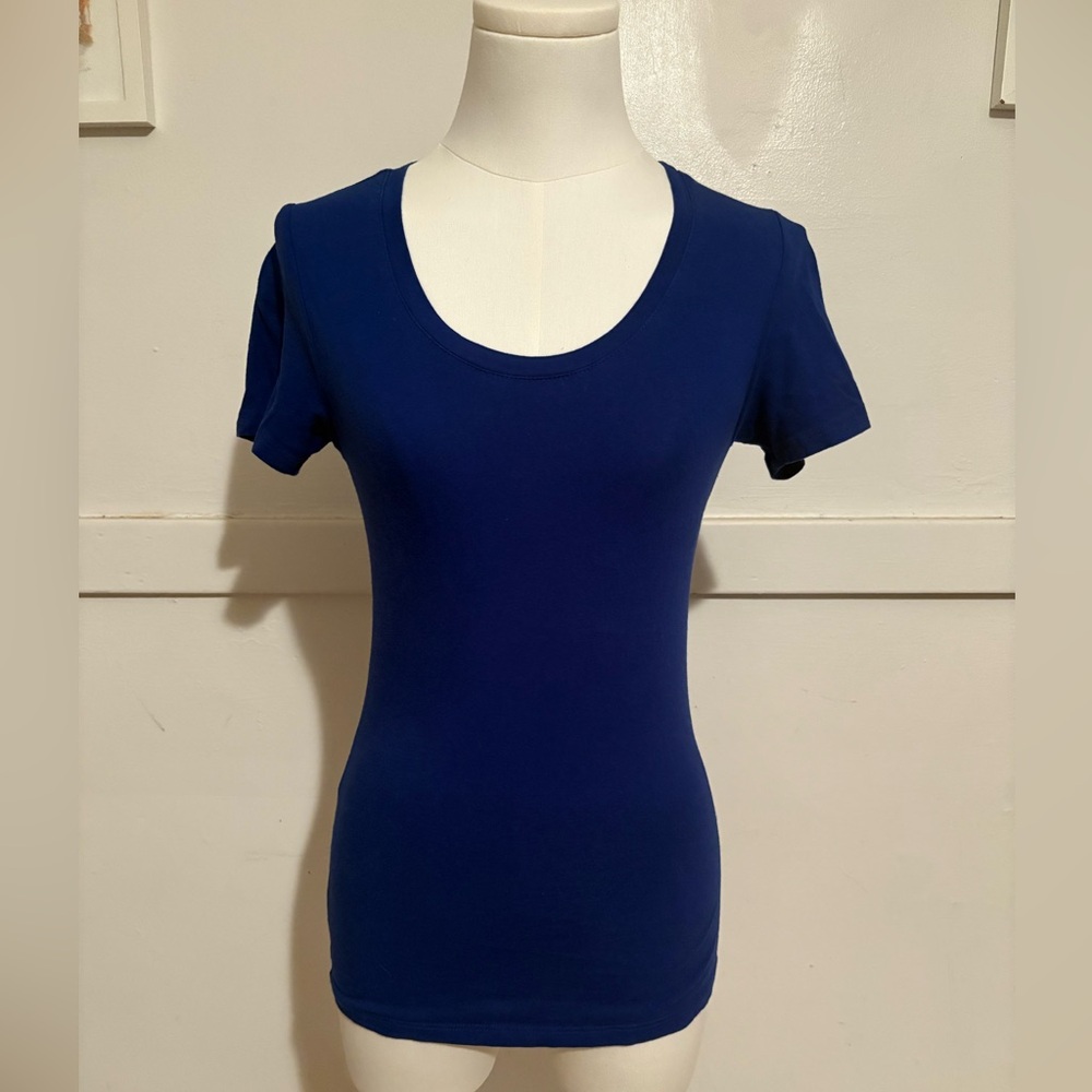 Blue Fitted Scoop Neck Short Sleeve T-Shirt